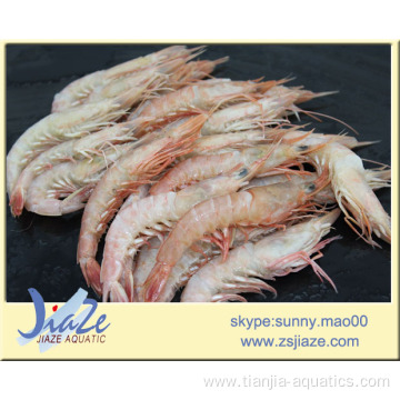 pink shrimp IQF BQF